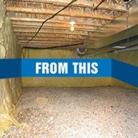 Photo of Georgia Waterproofing Tree Service