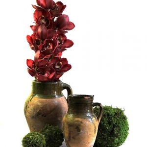 Photo of Flowers For The People