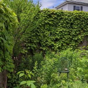 Photo of Pemberton Garden Services