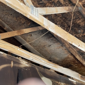 Photo of USA Water Damage