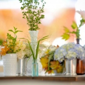 Photo of Liv By Design