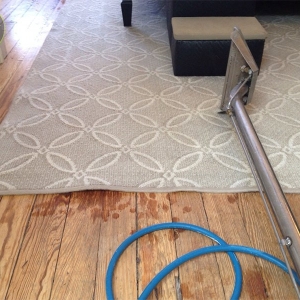 Photo of Carpet Cleaning Hoboken