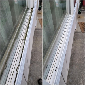 Edgewood Sunco Window Cleaning