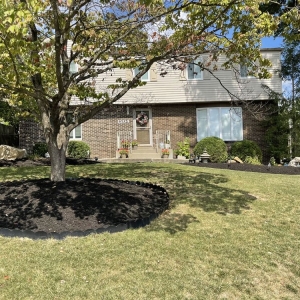 Photo of Roman's Lawn & Landscape