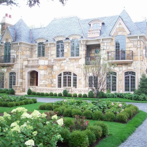 Photo of Green Grass
