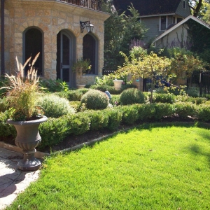 Photo of Green Grass