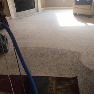 Photo of Healthy Home Services