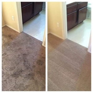 Photo of Healthy Home Services