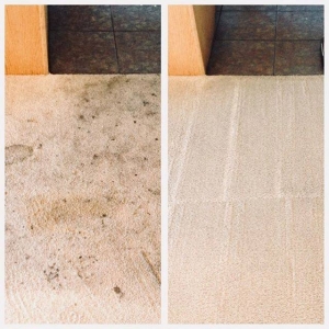 Photo of Healthy Home Services