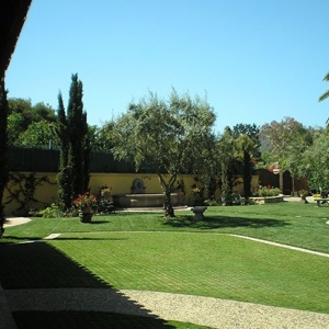Photo of Daniels Landscape