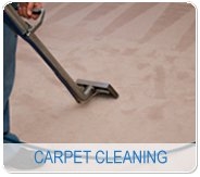 Photo of Pet Safe Carpet & Floor Cleaning Company