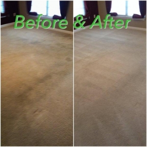 Photo of Pet Safe Carpet & Floor Cleaning Company