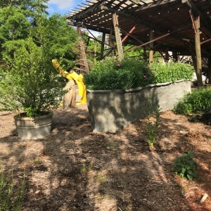 Photo of The Bernice Garden