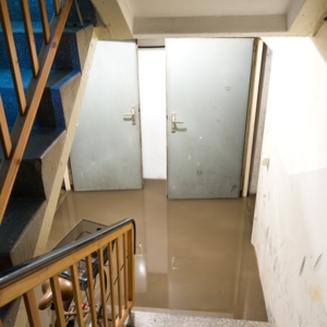 Photo of Thames Flood Restoration