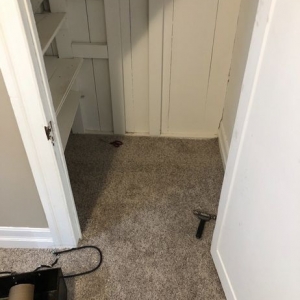 Photo of Discount Carpet and Flooring