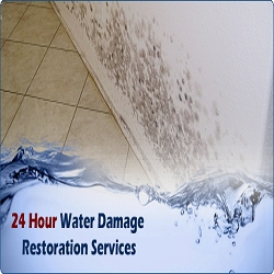 Photo of UAC Water Damage Daly City