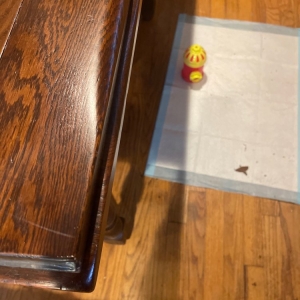Photo of Gallo Furniture Refinishing & Repair