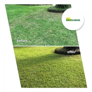 Photo of The Master's Lawn Care