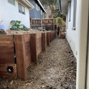 Photo of Eduardo's Landscaping