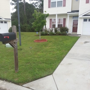 Photo of Jon's Lawns