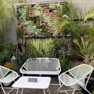 Photo of Dig Gardens