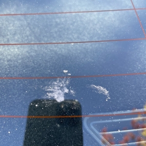 Photo of Evergreen Express Car Wash