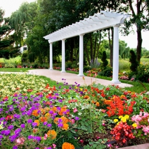 Photo of Budget Weddings