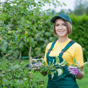 Photo of Gordon's Tree & Contracting Enterprises