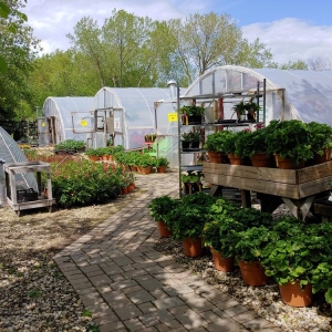 Photo of Reds Garden Center & Fireplace Logs