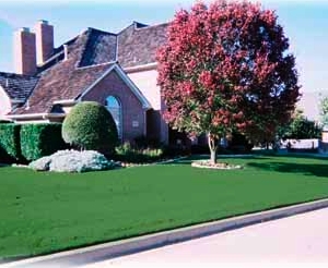 Photo of Becoming Lawns