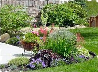 Photo of Becoming Lawns