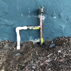 Photo of Plumbing Tree