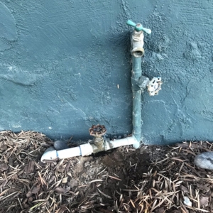 Photo of Plumbing Tree