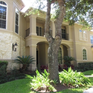 Houston Luxz Painting & Construction Svcs