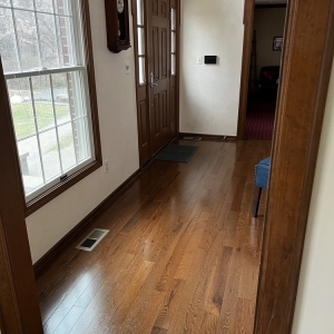 Royal Oak Creative Carpets