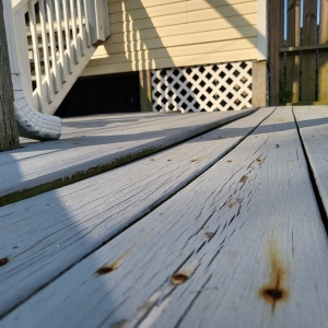 Photo of Siebert Realty - The Beach People