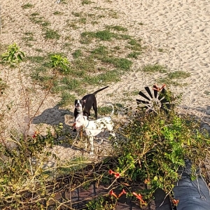 Photo of Siebert Realty - The Beach People