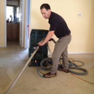 Photo of UCM Rug Cleaning