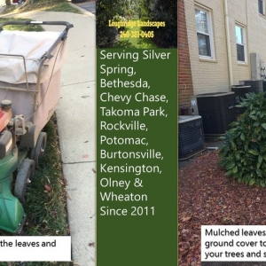 Silver Spring Loughridge Landscapes