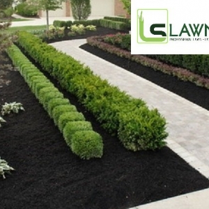 Photo of LawnScape