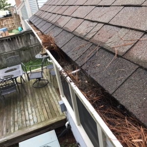 Photo of Caballeros Tree Service and Landscaping