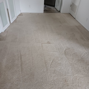 Sunnyvale Sunnyvale Carpet Cleaners