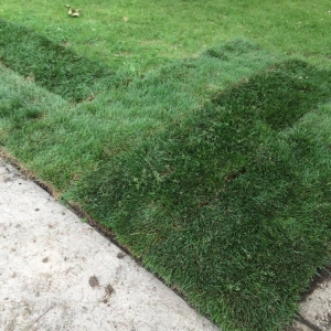 Photo of Hillcrest Sod Farm