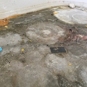 Photo of Dry Force Water Removal Specialists