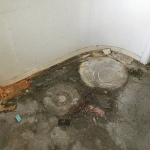 Photo of Dry Force Water Removal Specialists
