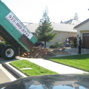 Photo of Denil Garden Service