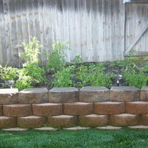 Photo of Denil Garden Service