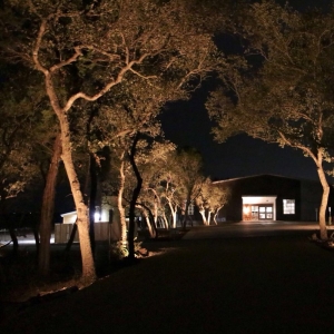 Photo of Luminary Lights Austin