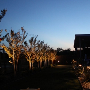 Photo of Luminary Lights Austin