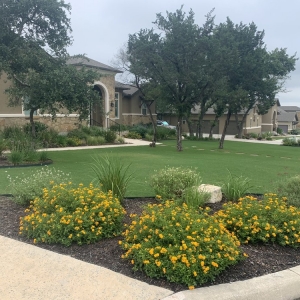 San Antonio Greenview Landscaping